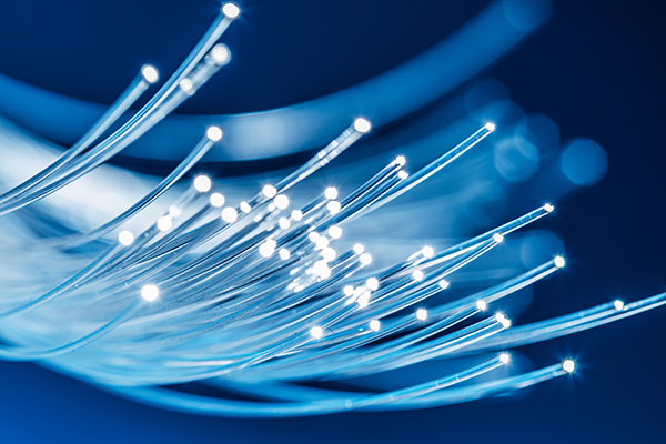 fiber-optic-web fiber-optic-web